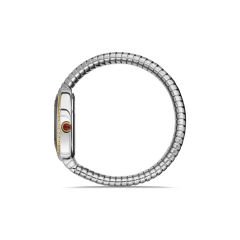 SS256T-02SG Kadın Kol Saati