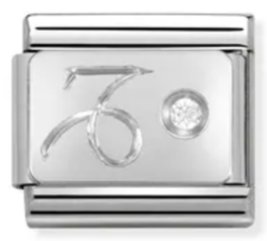 330302/10 Oğlak Burcu Charm